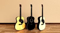Acoustic Guitars
