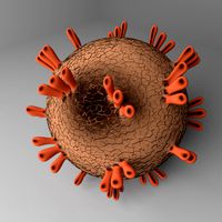 Mers Virus