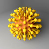 Covid-19 Virus