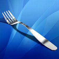 Stainless Steel Fork