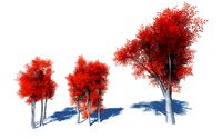 Stylized colored trees collection