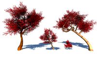 Colorful trees 3d collection