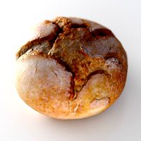 Roll 082
