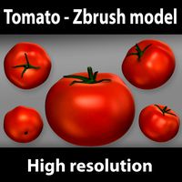 Tomato - zbrush model