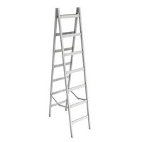 Step ladder blank