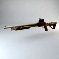 Tactical Shotgun