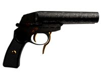 Gun