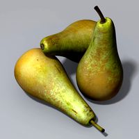 Pear