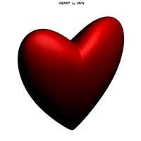 Heart
