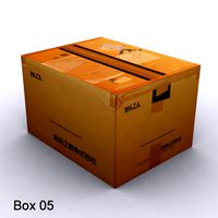 Cardboard box 05