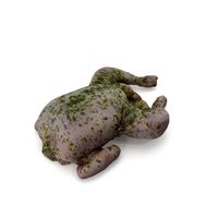 Raw Chicken seasoned with sage - 4K textures