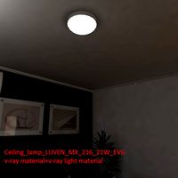 Ceiling lamp LUVEN MX 216 21W EVG