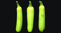 Zucchini Scan 01