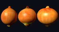 Onion Scan 03