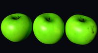 Apple Scan 02