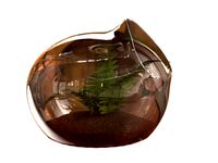 Plant in Glass Sphere