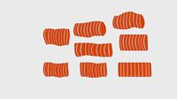 Salmon Pack