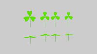 Three Leaf Clover Pack