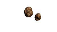 Rocks