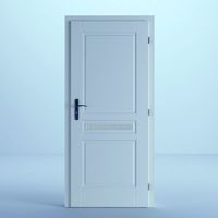 White Door 25