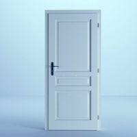 White Door 20