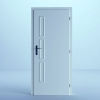White Door 1