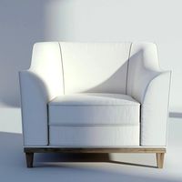 Leather Arm Chair