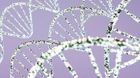 DNA