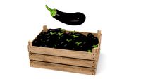 Aubergine Box
