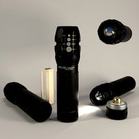 Police Flashlight