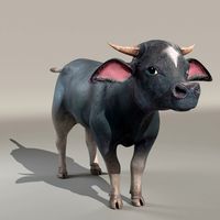buffaloKid Rigged
