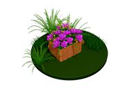 Flowers in a basket