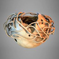 Cell nucleus