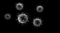 corona virus