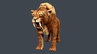 Saber tooth