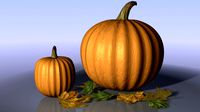 Pumpkin and Fall Leaves
