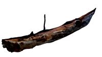 branch rotten 2