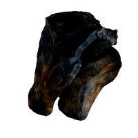 the log with hollow