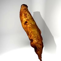 red beet long