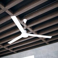 Simple Ceiling Fan