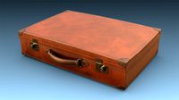 baggage5