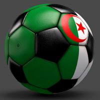 Soccerball pro clean black Algeria