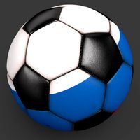 Soccerball pro clean black Russia