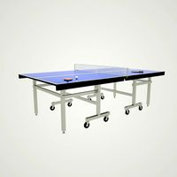 tennis table