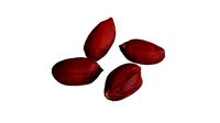 Peanut Kernels