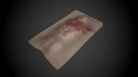 Dead Body with Covered Sheet