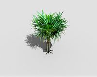 low poly tropical tree