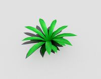 plant