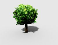 tree