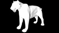 saber tooth tiger